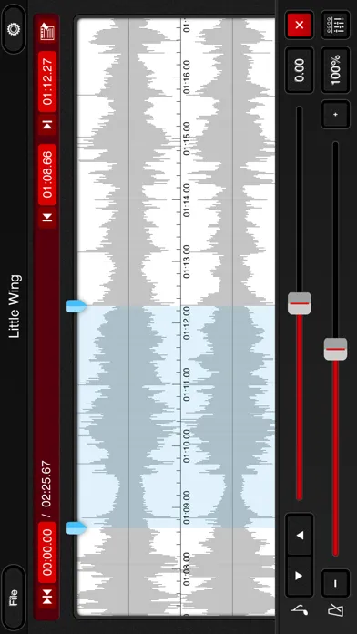 تصاویر mimiCopy - Slow Down Player