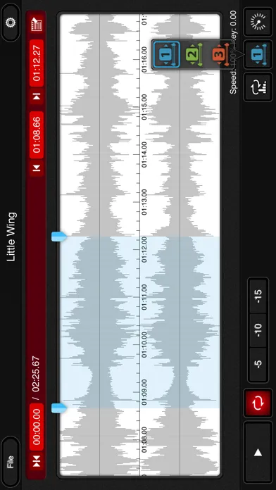تصاویر mimiCopy - Slow Down Player