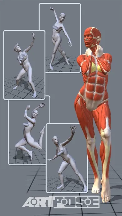 ArtPose Female Edition Screenshots