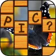 Guess the Picture