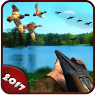 Wild Duck Hunting 2017 Wild Duck Hunting 2017