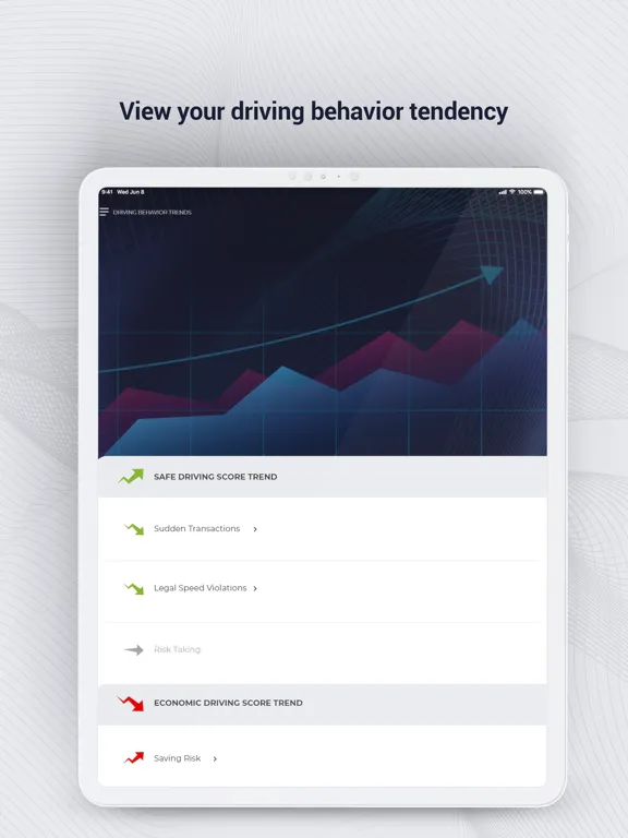 صور Arvento Driver iPad 