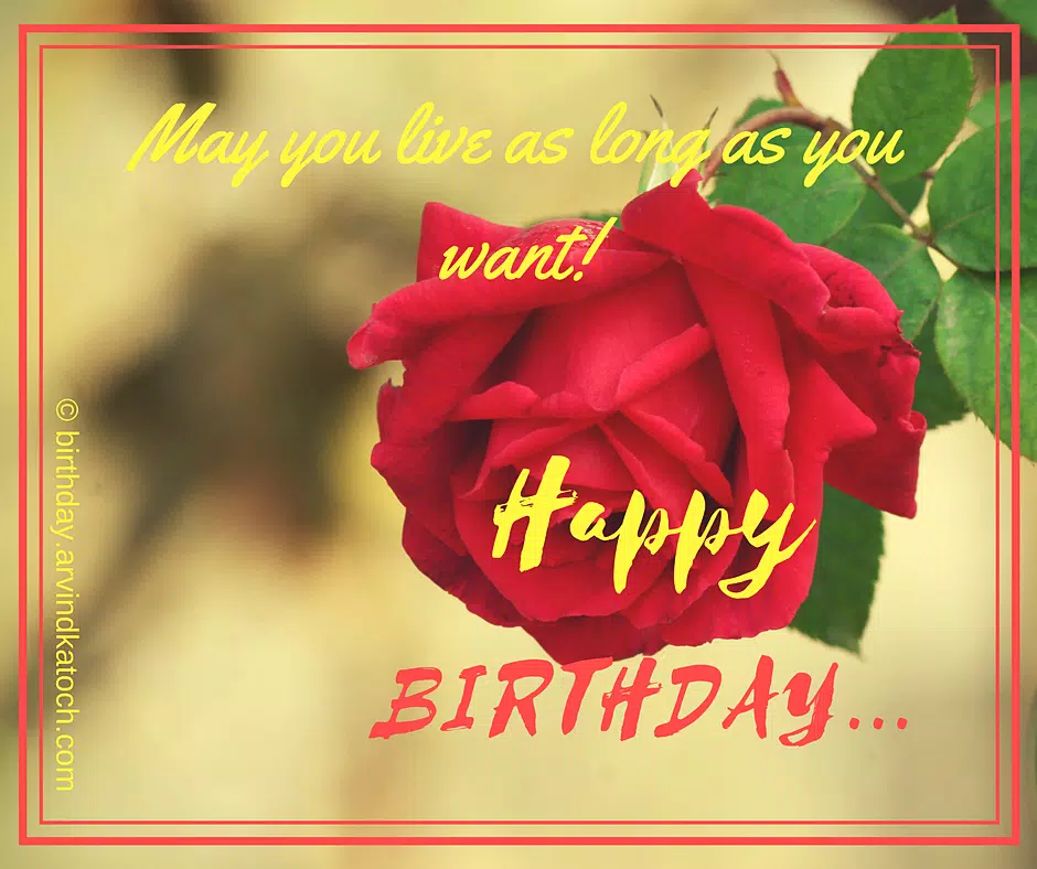 Rose Birthday Cards (Real Rose Screenshots
