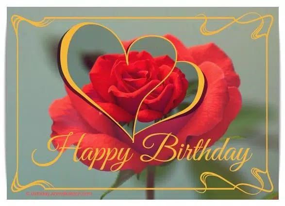 Rose Birthday Cards (Real Rose Screenshots