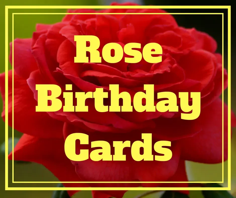 Rose Birthday Cards (Real Rose Screenshots