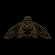 Cicada Media