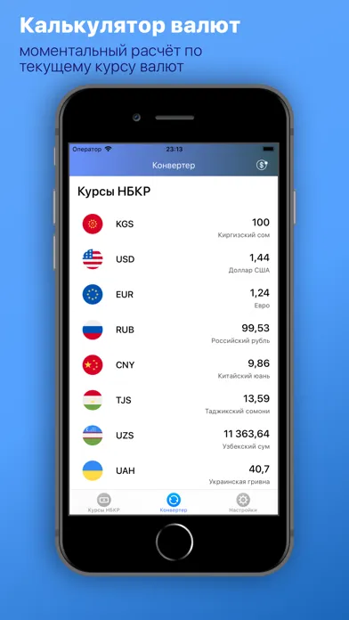 Курс валют Киргизии应用截图