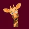 Giraffe - Stickers for iMessage