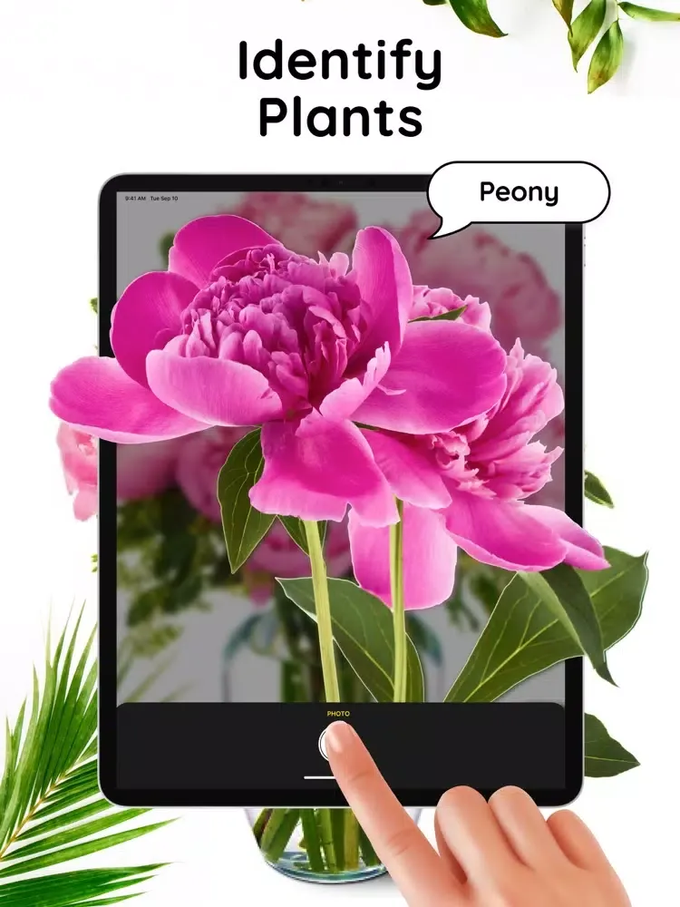 Flower plant identification! iPad 应用截图