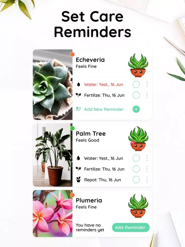 Flower plant identification! iPad 应用截图