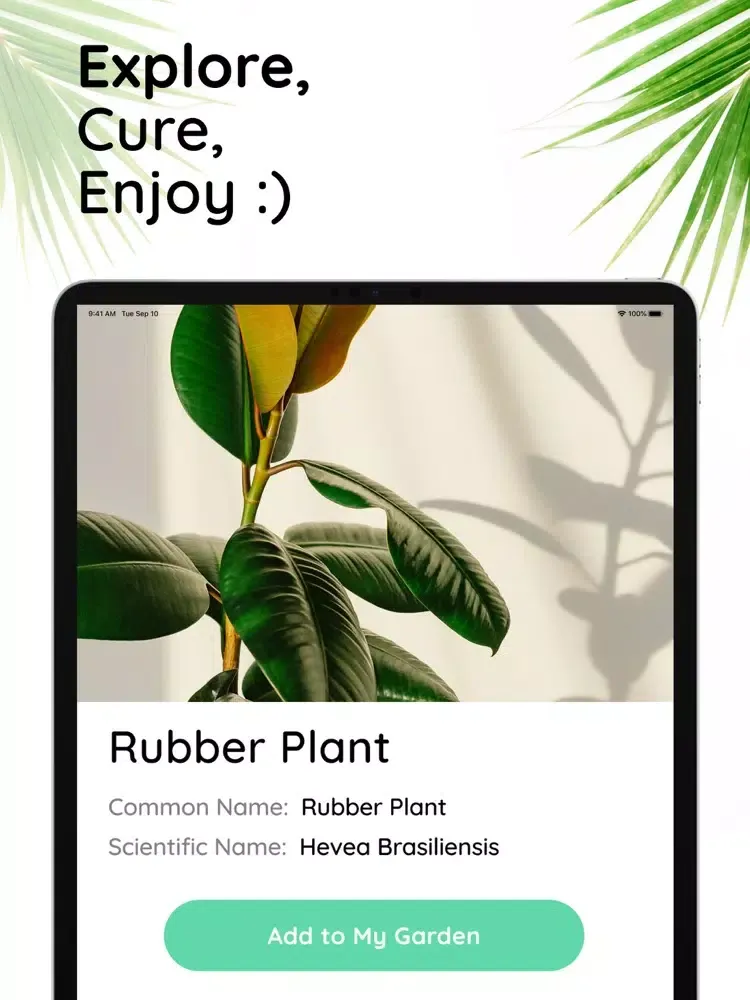 Flower plant identification! iPad 应用截图