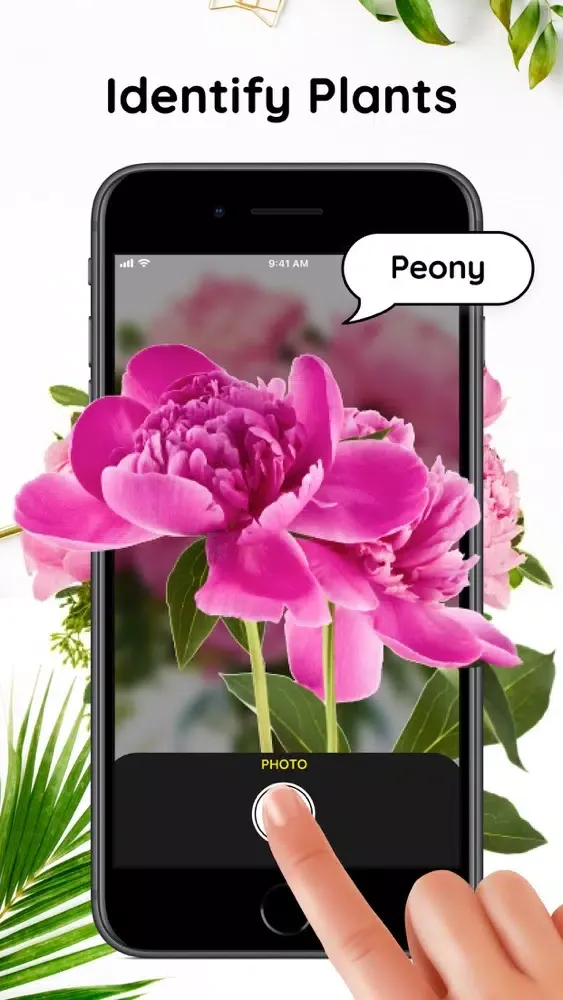Flower plant identification!应用截图