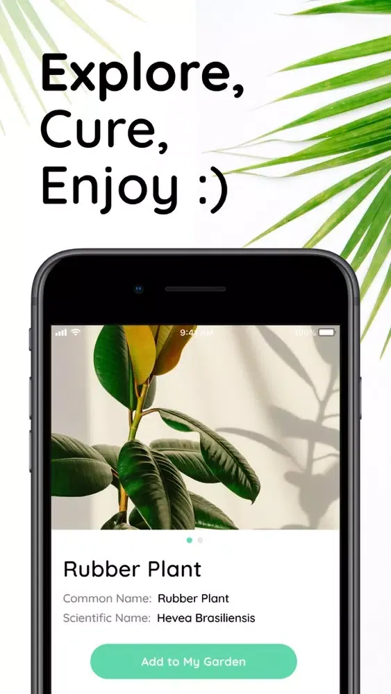 Flower plant identification!应用截图