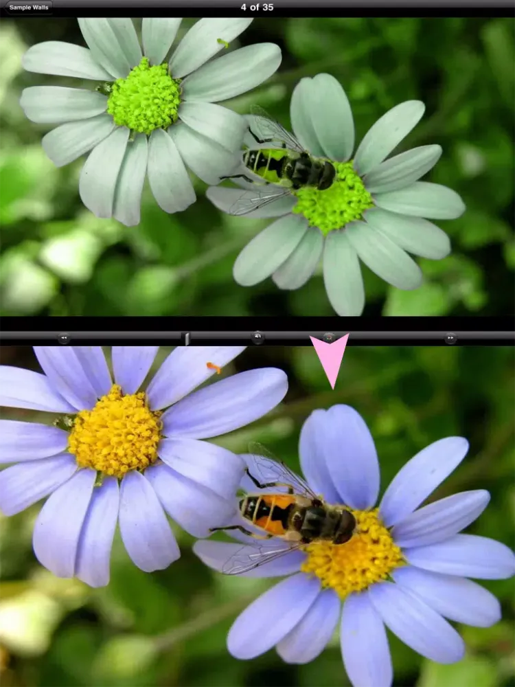 Скриншоты Colorful HomeScreens iPad 