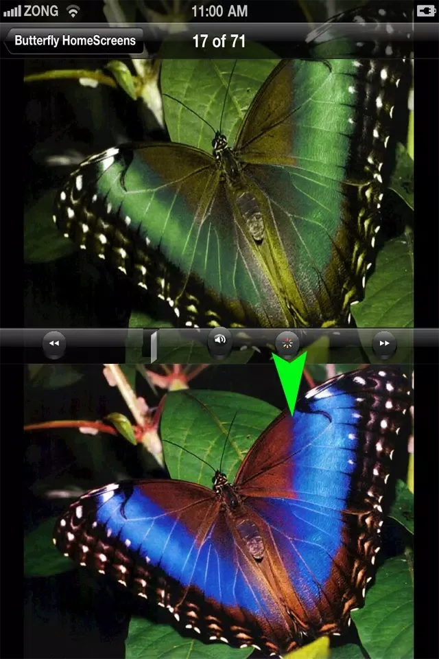 Скриншоты Colorful HomeScreens