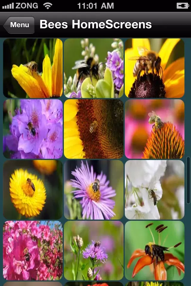 Скриншоты Colorful HomeScreens