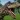 Hungry T Rex : Dino Game