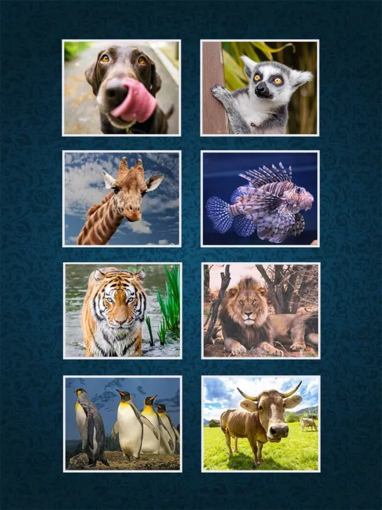 Скриншоты Puzzles Game: Deluxe iPad 