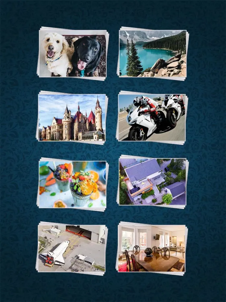 Скриншоты Puzzles Game: Deluxe iPad 