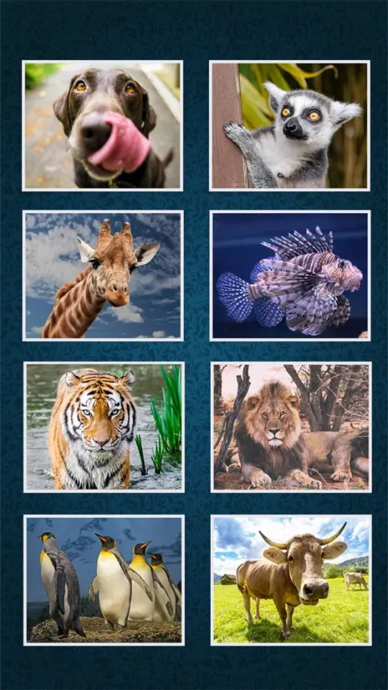 Скриншоты Puzzles Game: Deluxe