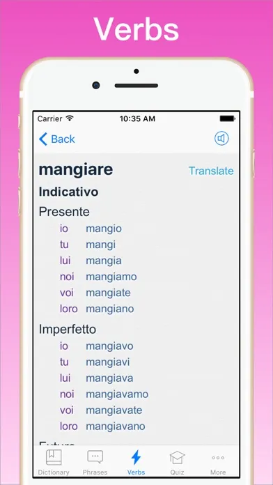 Zrzuty ekranu Italian Dictionary + ©