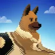 Dog Shelter Rescue Dog Shelter Rescue