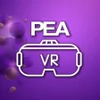 PEA VR FOMM PEA VR FOMM
