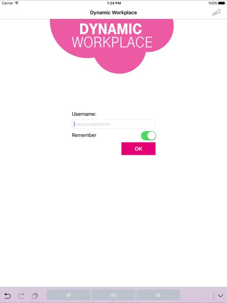 T-Systems Dynamic Workplace iPad  سکرین شاٹس