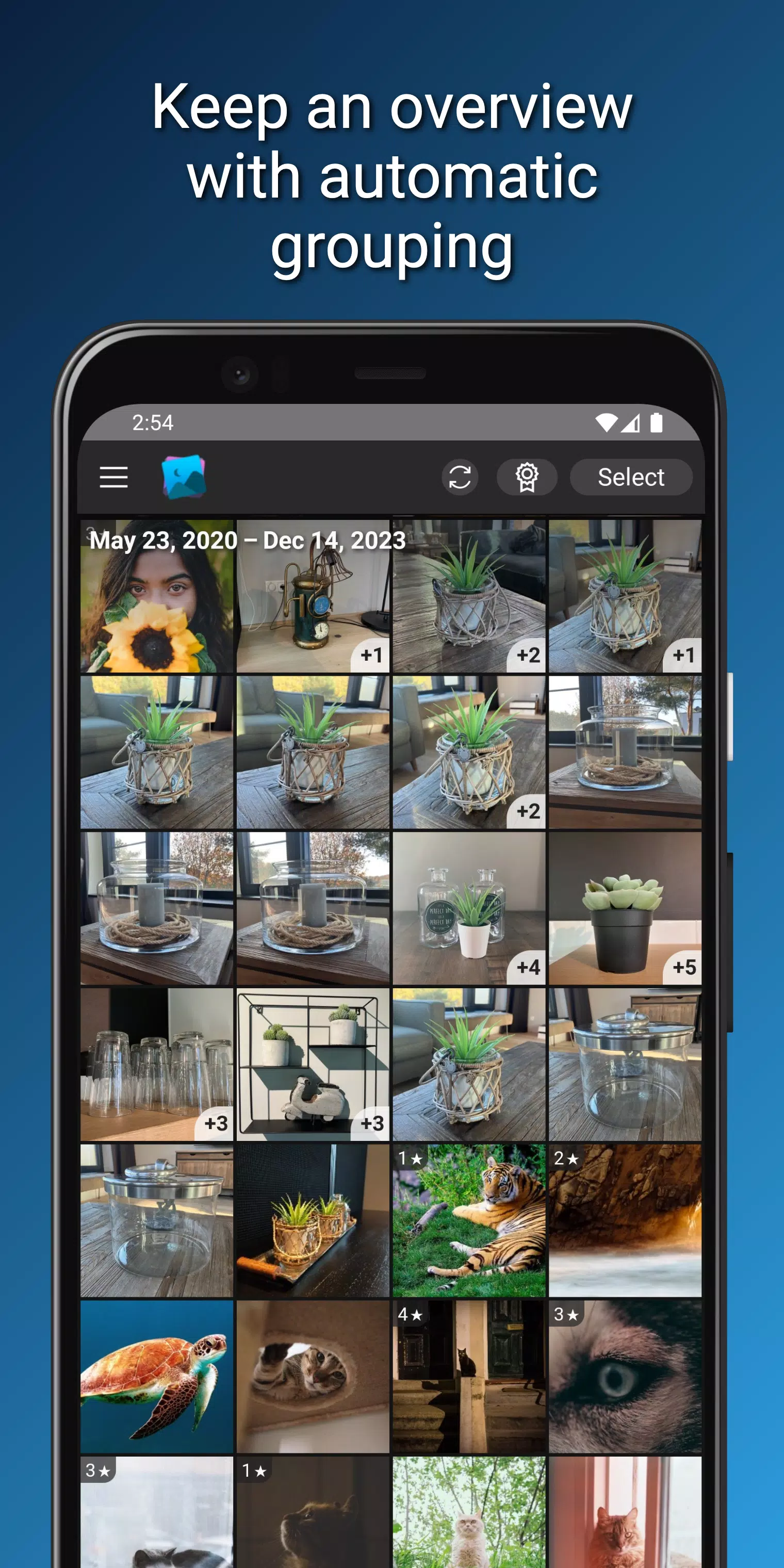 Ashampoo Photo Organizer Screenshots3