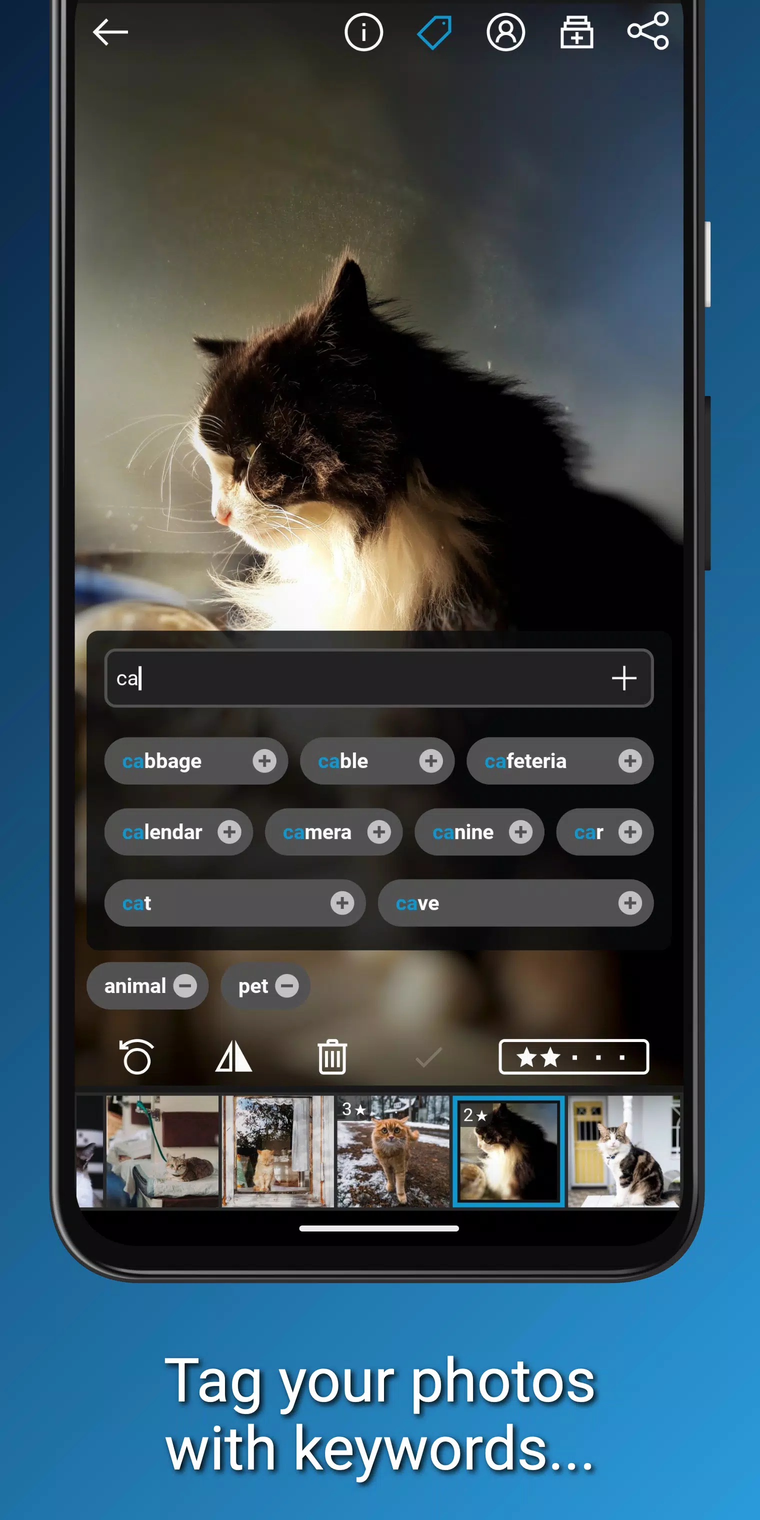 Ashampoo Photo Organizer Screenshots6