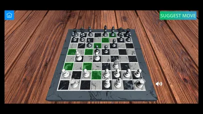 صور Asimi Chess Champion