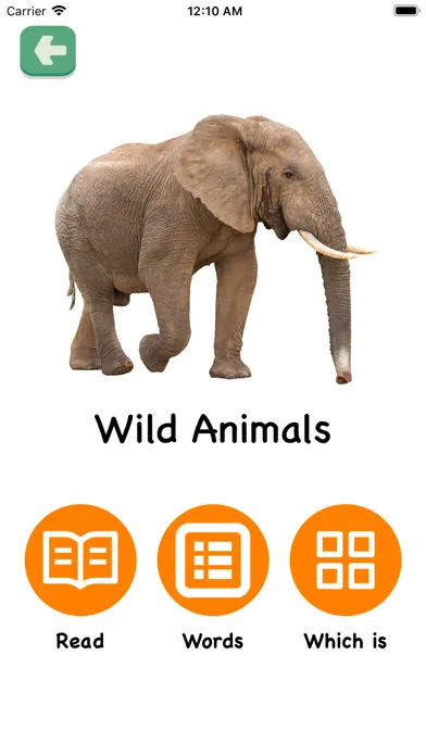 Flashcards 2/3 years toddlers Screenshots