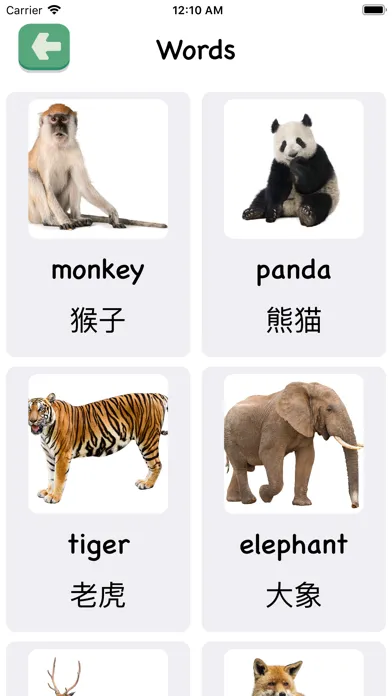 Flashcards 2/3 years toddlers Screenshots