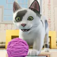 My Cute Cat Pet Simulator Game My Cute Cat Pet Simulator Game