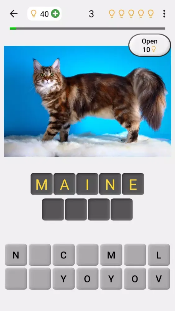 Cats Quiz स्क्रीनशॉट