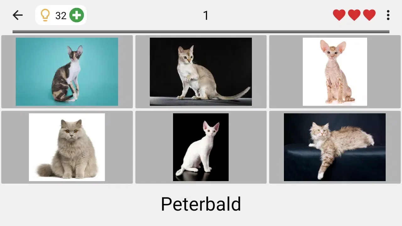 Cats Quiz स्क्रीनशॉट