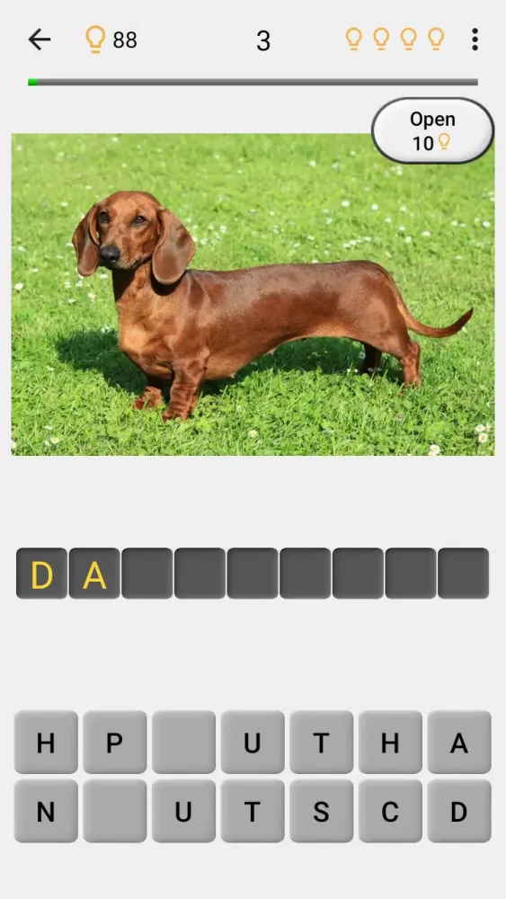 صور Dogs Quiz