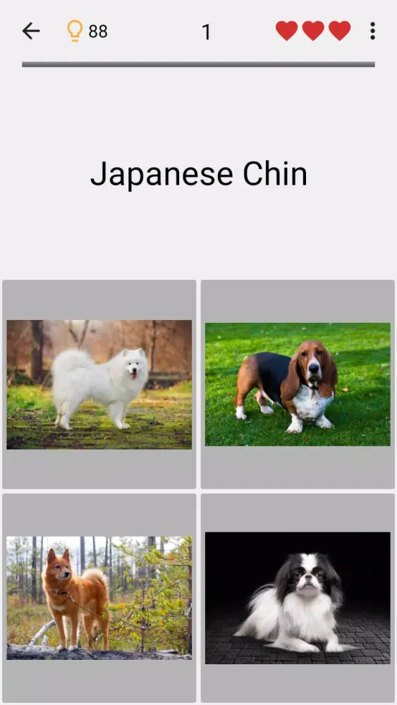 صور Dogs Quiz