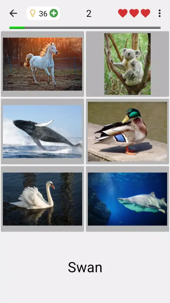 Screenshot di Guess Pictures