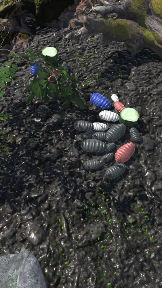 Roly-Poly Friends Screenshots