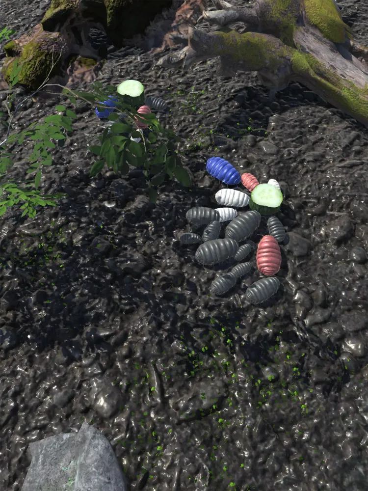 Roly-Poly Friends Screenshots