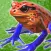 Frog Friends