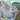 Rabbit Friends - caring games