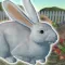 Rabbit Friends - caring games