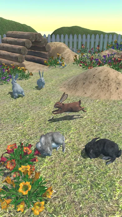Rabbits Friends Screenshots
