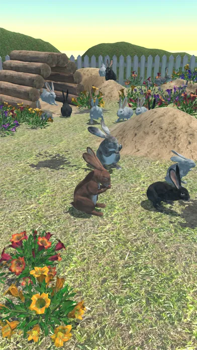 Rabbits Friends Screenshots