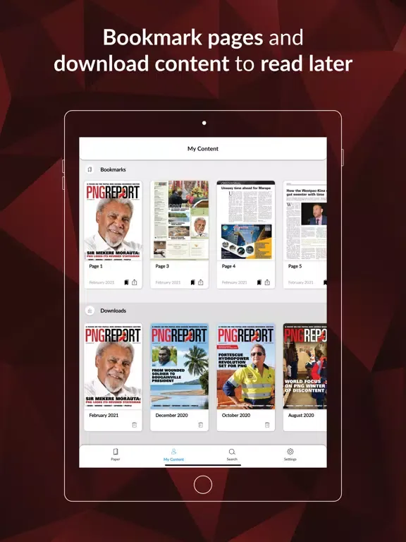 Скриншоты PNG Report iPad 
