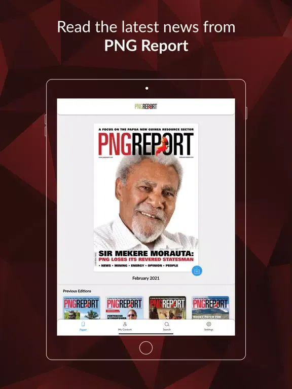 Скриншоты PNG Report iPad 
