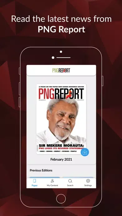 Скриншоты PNG Report