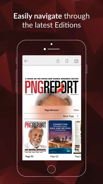 Скриншоты PNG Report